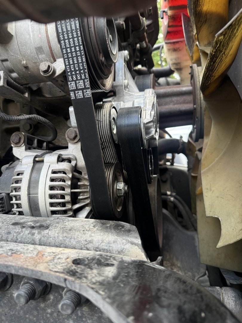 Fresh serpentine belt routed around alternator and pulleys
